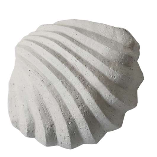 Cooee - The Clam Shell Skulptur Limestone