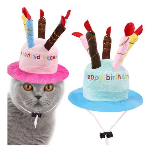 Födelsedagshatt för Katt - Rosa