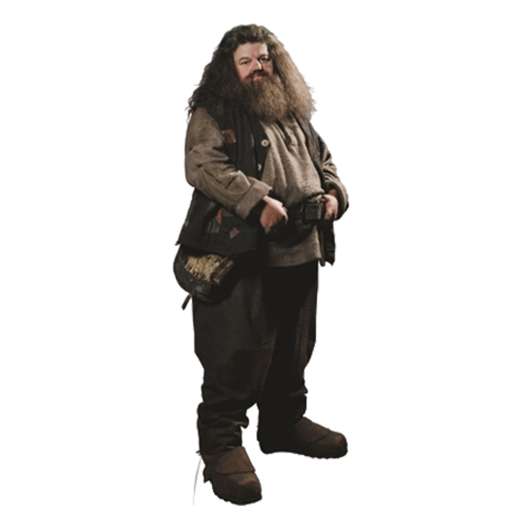 Hagrid Kartongfigur