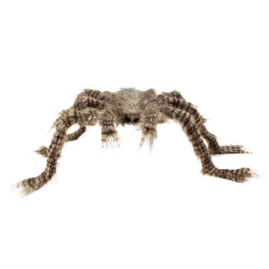 Hårig spindel, 70x50 cm