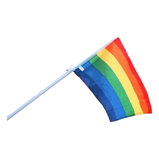 Pride Fasadflagga med Stång - Liten 40x60 cm