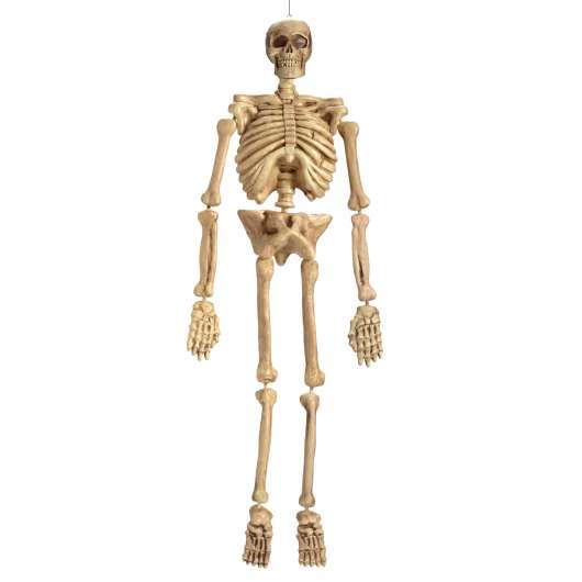 Prop, Hängande skelett 150 cm